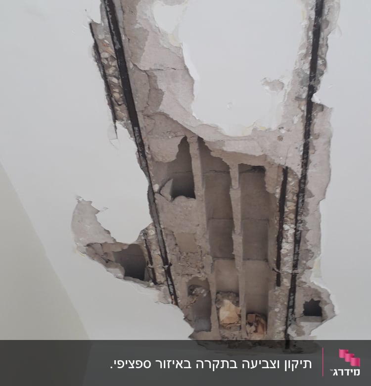 תיקון וצביעה בתקרה באיזור ספציפי.